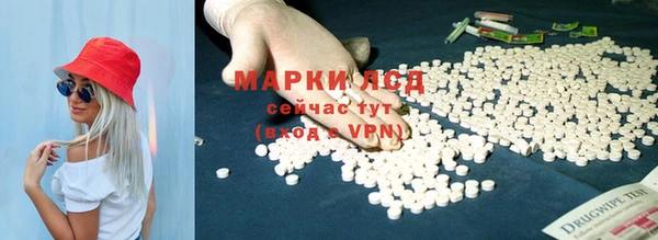 ешки Вязьма