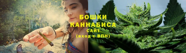 ешки Вязьма