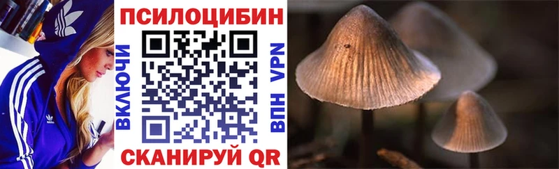 Псилоцибиновые грибы Magic Shrooms  купить наркотик  Северск 